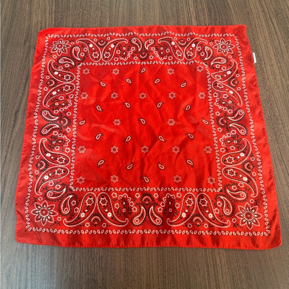 Bandana Handkerchief Scarf RED PAISLEY Teardrops